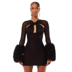 Mesh Cross Hollow-out Long Sleeve Plush Sleeve Slim-fit Sheath Dress - Black - View 1