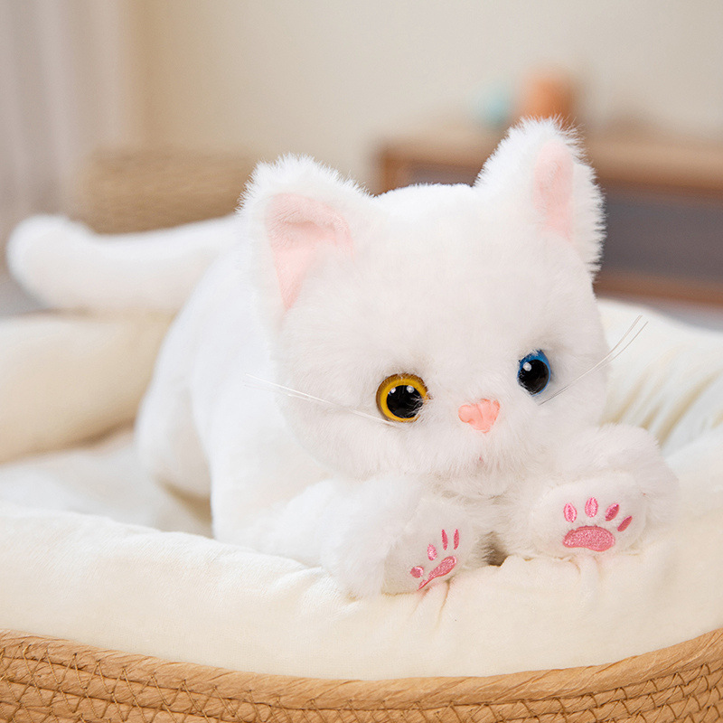 White Cat