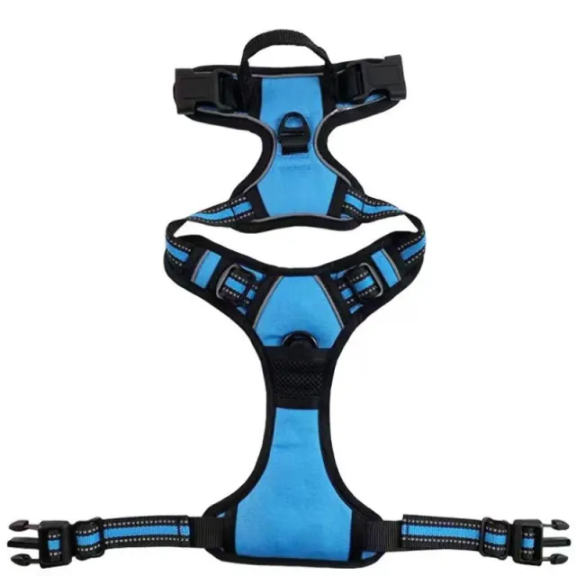 Pet Hand Holding Rope Chest And Back Nylon Dog Rope Blue - Shop at LoveMi