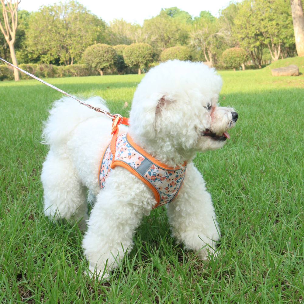 Pet Harness LeashVest-style For Outdoor Use — image 1