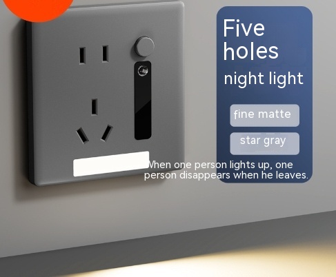 Gray Five Hole Induction Lamp