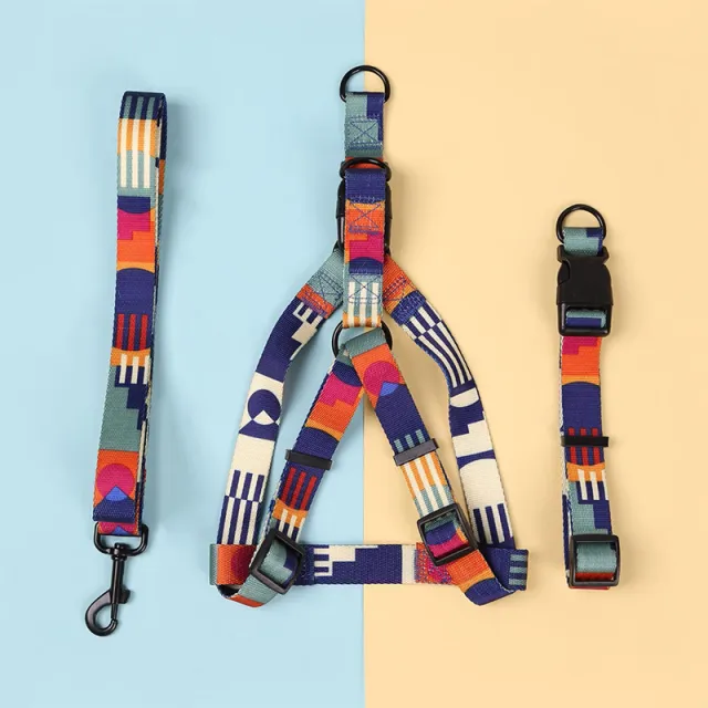 Hand Holding Rope Outing Dog Leash Dog Collar Three piece Set Purple Yellow Blue Three Piece - Shop at LoveMi