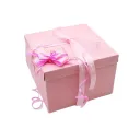 Layer Pink 5