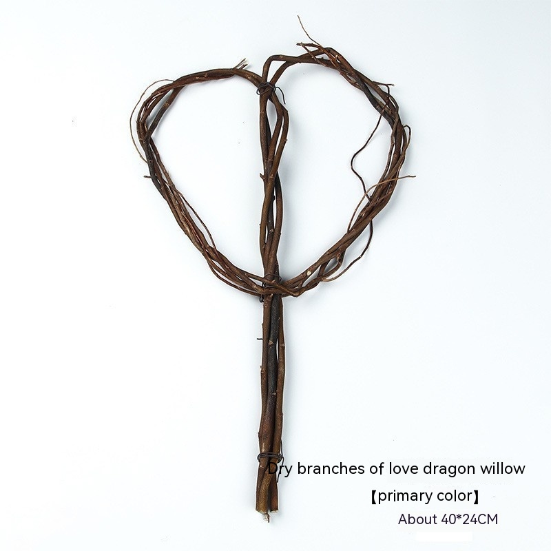 Dry Willow Branch