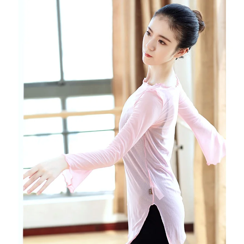 Adult Ballerina Costumes (5)