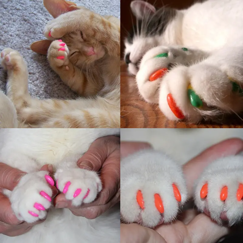 Amazon Set Cat Nail Caps Pet Anti-scratch
