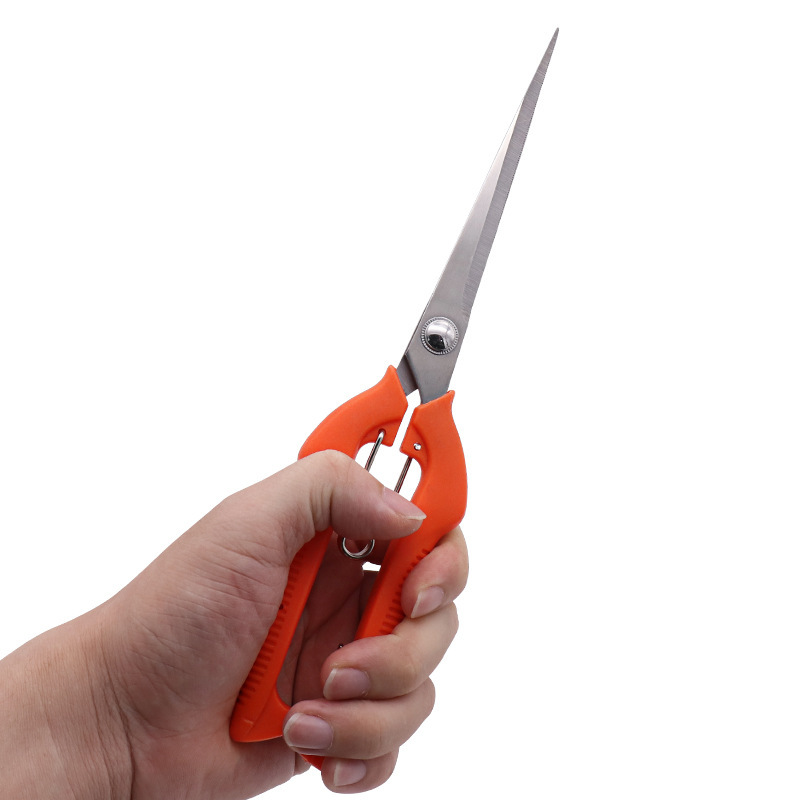 https://cf.cjdropshipping.com/quick/product/c840e658-f8d2-45d9-99f3-701158a4b174.jpg
