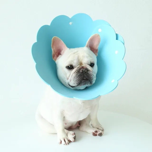 Sunflower Modeling Pet Protection Collar Anti licking Head Cover Blue - Shop at LoveMi