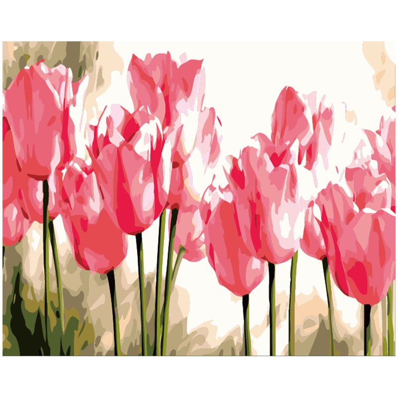 Pink Tulip