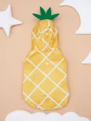 Pineapple Pet Costume