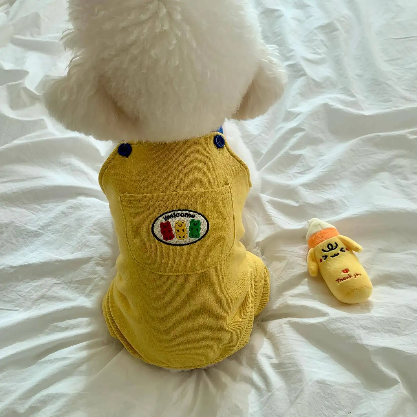 Spring And Autumn New Dog Cat Overalls