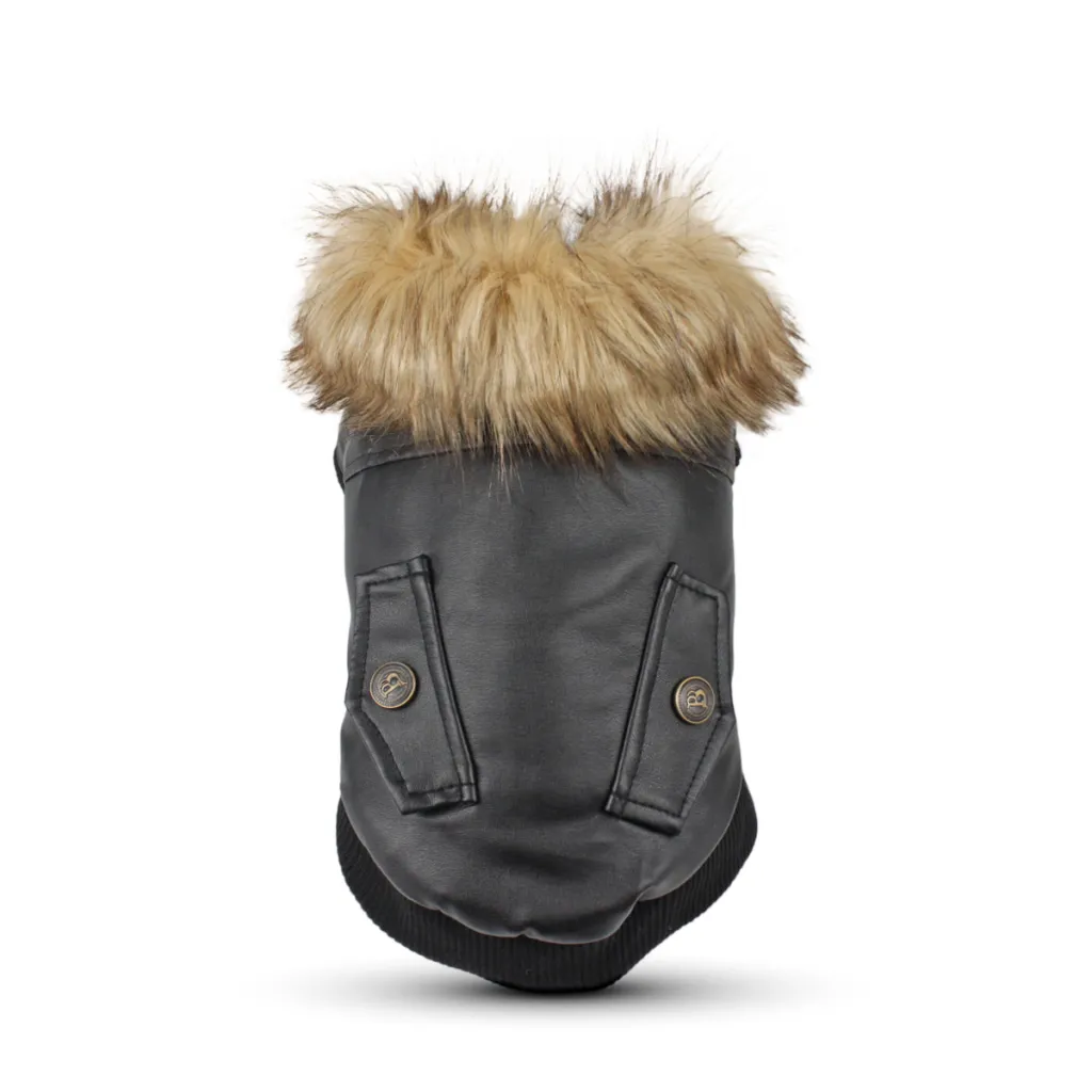 Autumn And Winter Clothes Dog Fur Collar Leather Coat - Black