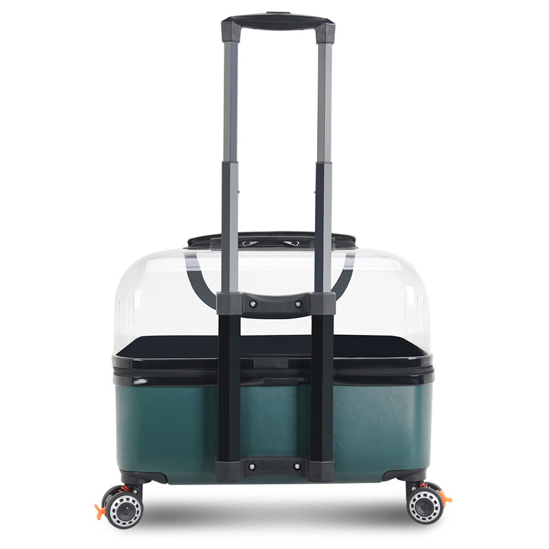 https://cf.cjdropshipping.com/quick/product/c90f75e6-28d6-415f-96fc-8ac65b5fde00.jpg