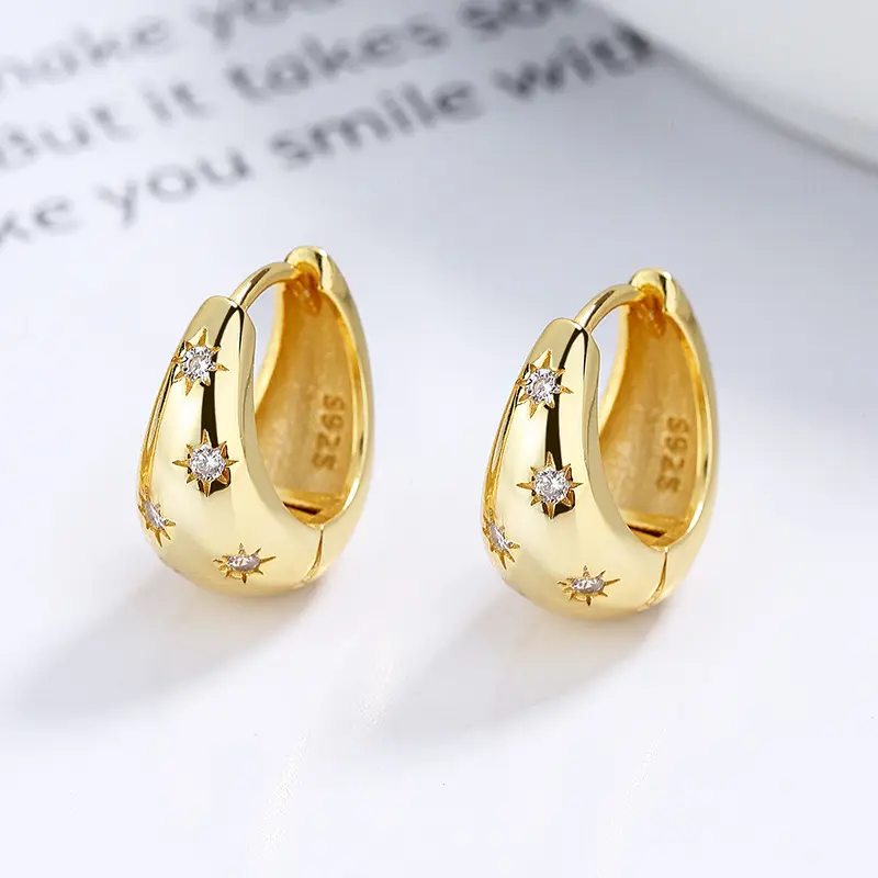 925 Sterling Silver Asterism Earrings Women's French
