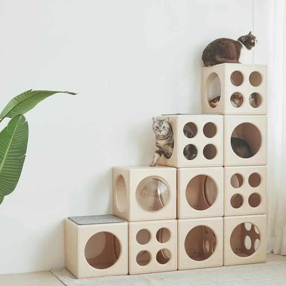 Four-Season Scratch-Resistant, Breathable Wooden Cat Bed