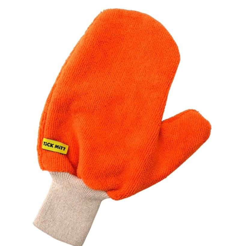 https://cf.cjdropshipping.com/quick/product/c9c7bce0-e74a-4967-a764-69ebbcb1ecb5.jpg
