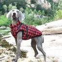 Christmas Plaid