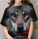 Ty6244-5Xl