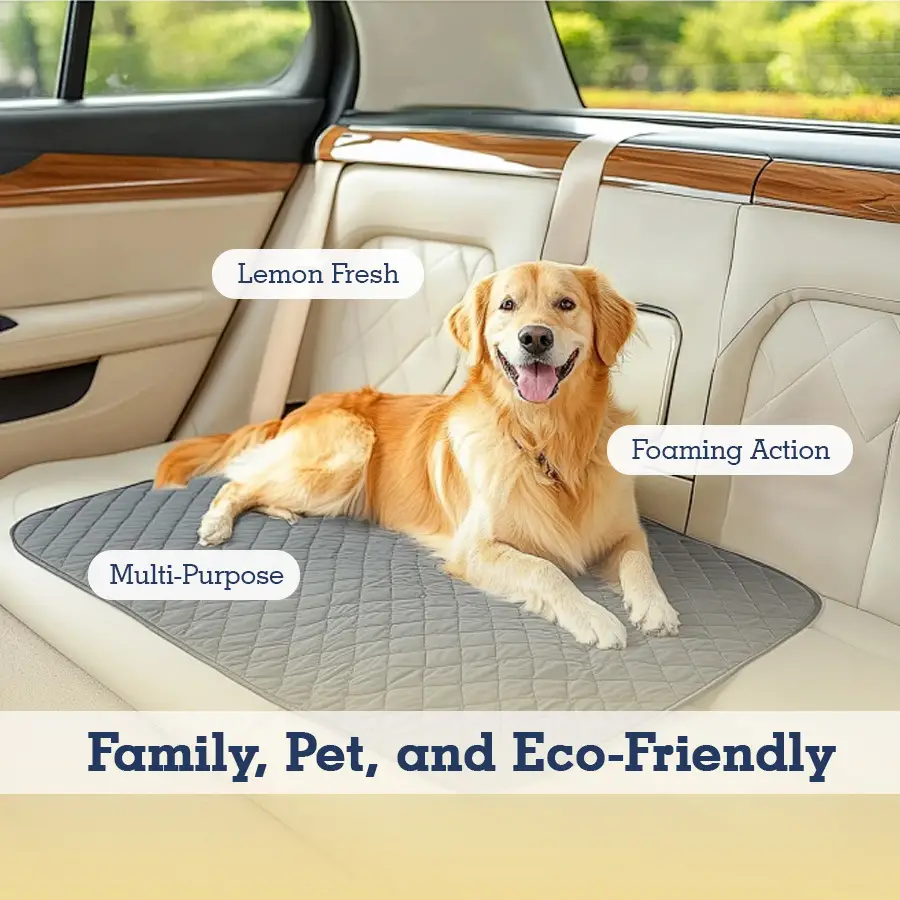Powerful Stain-removing Car Interior Leather Seat Cleaner