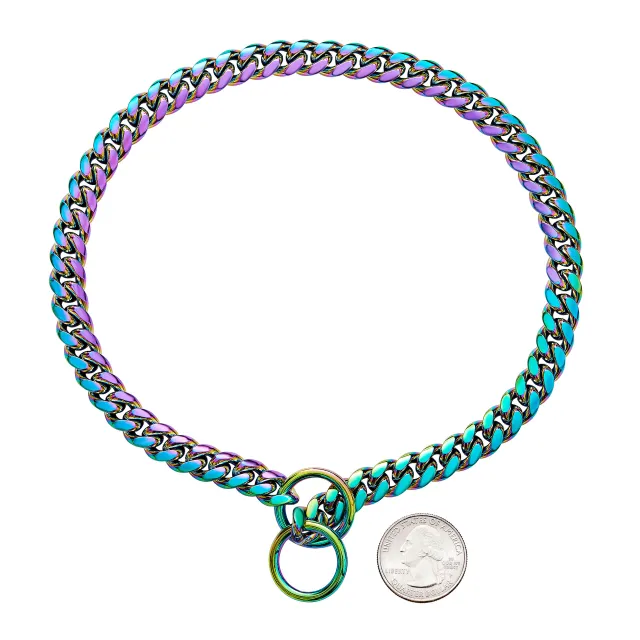 Small And Medium Sized Pet Dog Leash Stainless Steel Encrypted Collar Color - Shop at LoveMi