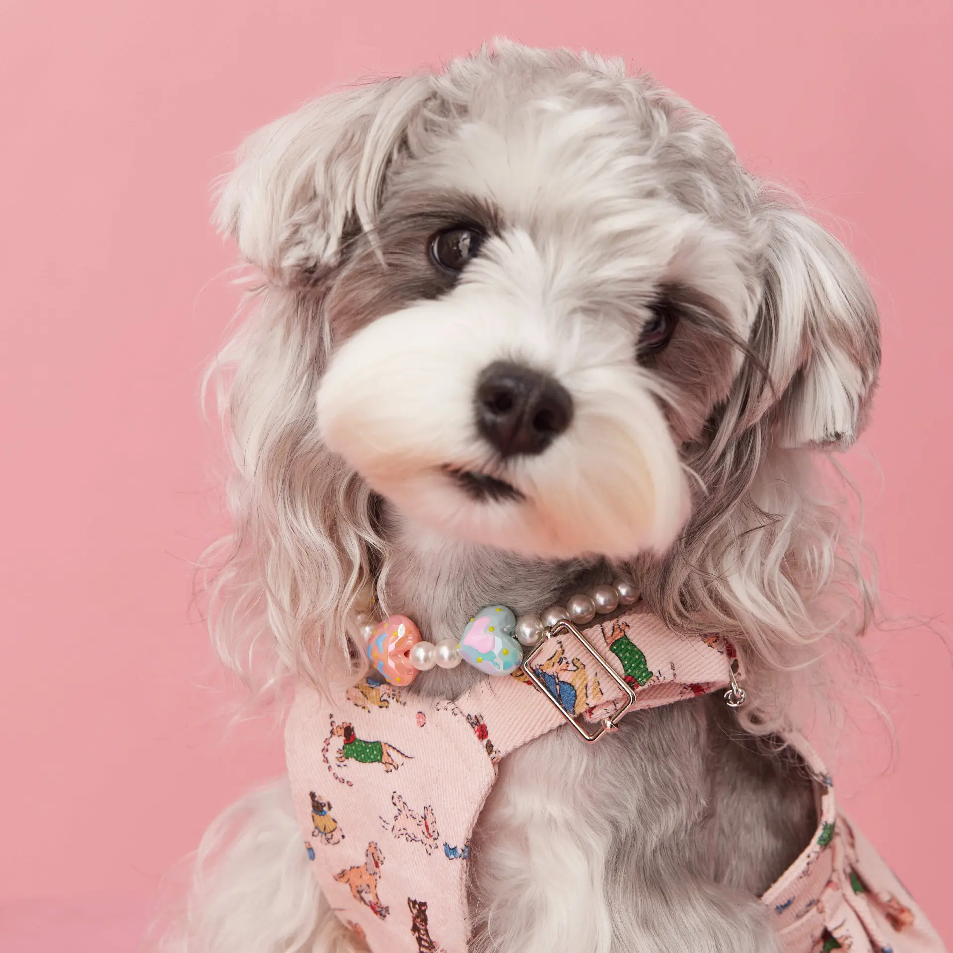 Photo Concave Shape Dog Accessories Pet