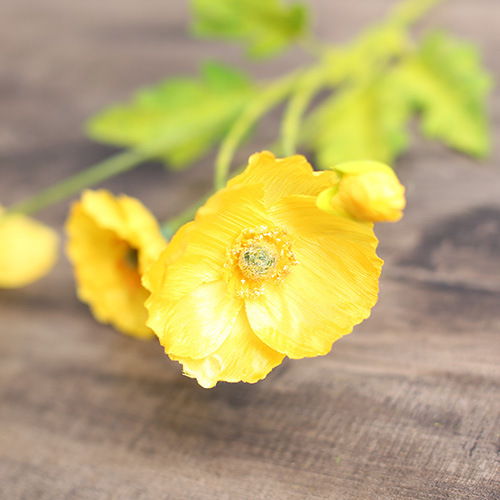 3 Flowers And 1 Bud Yellow