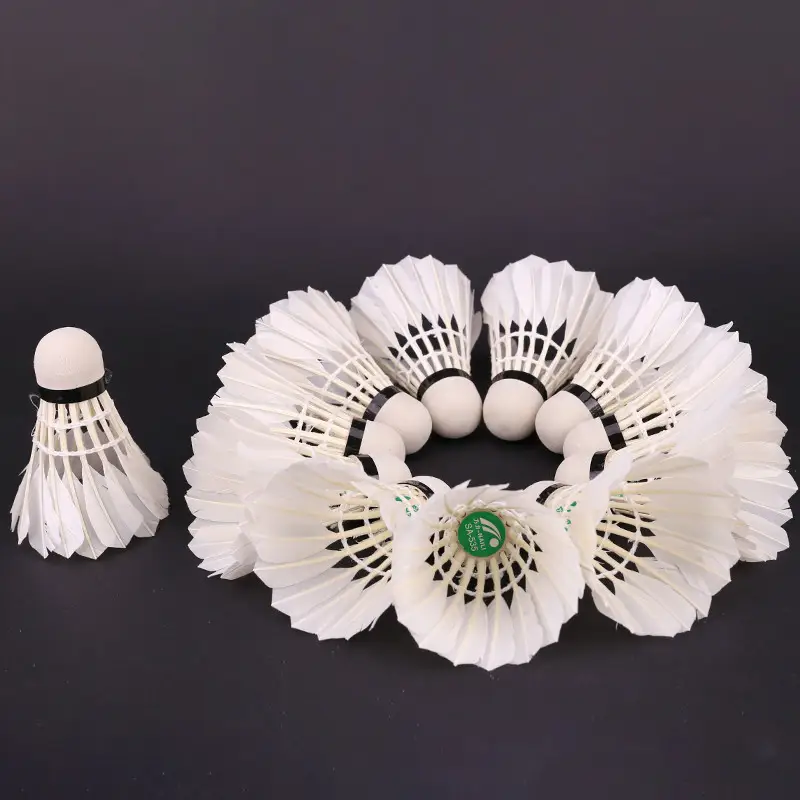 12-Piece Feather Badminton Shuttlecock Set for Training and Practice