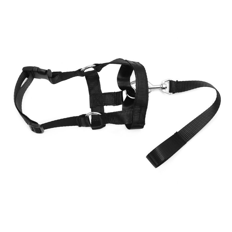 Short-handled Leash For Walking Dogs