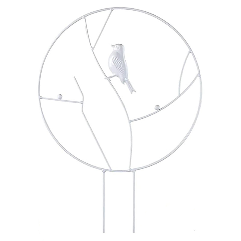 Bird White