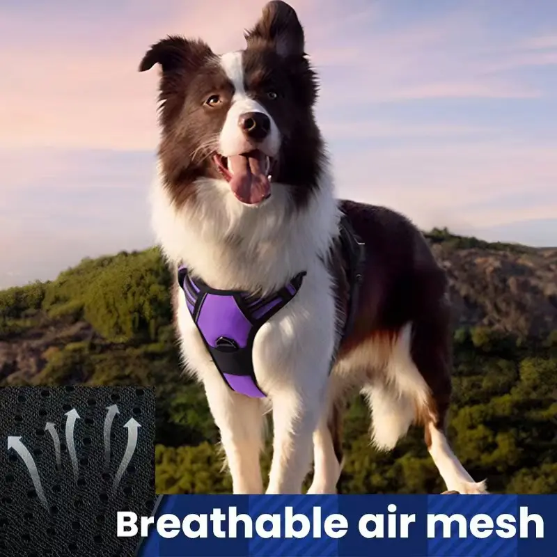 Multi-layer All-in-one Pet Dog Harness and Leash