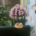 Love Tree