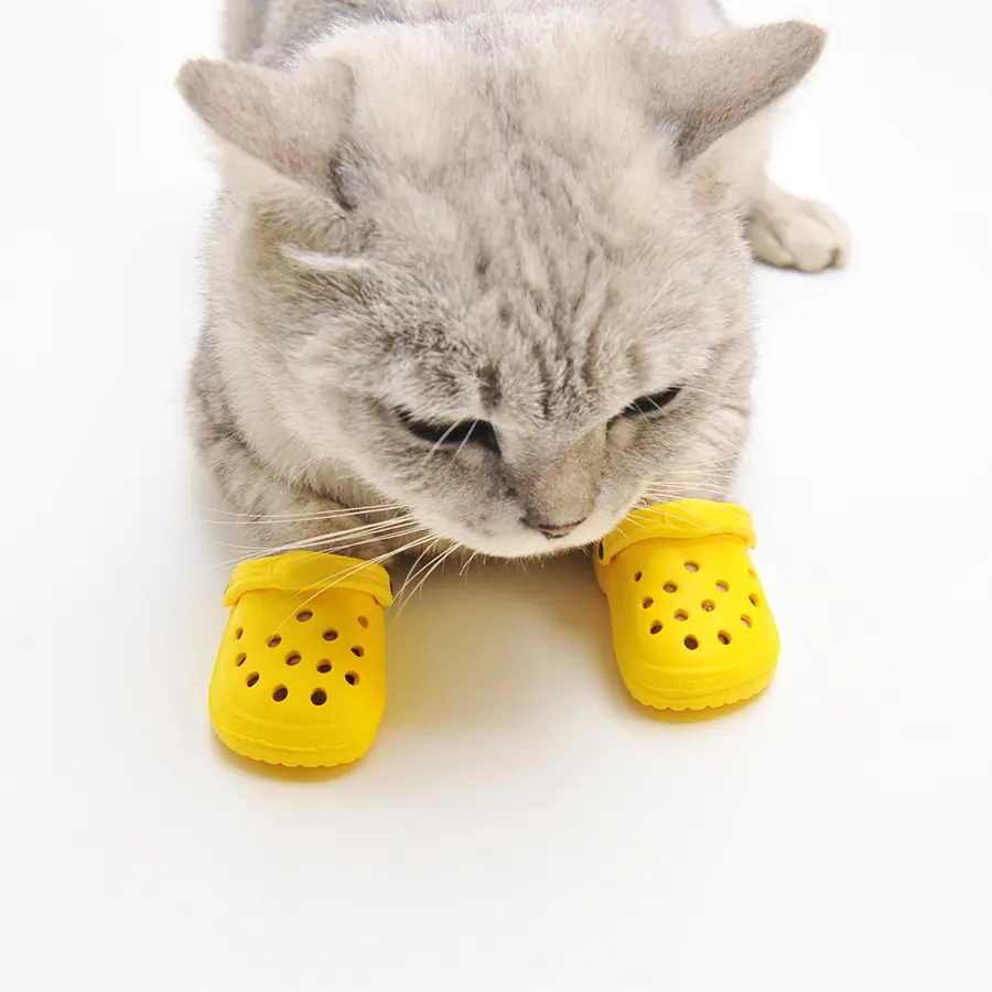 Fashion Personality Summer Dog Shoes