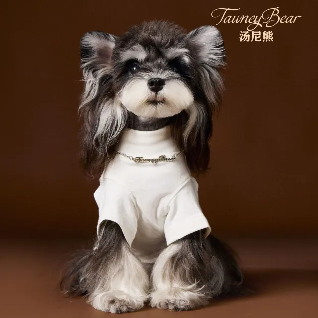 Teddy Schnauzer Bear Handsome Solid Color Bottom Shirt Two Leg Necklace Inner Coat White - Shop at LoveMi
