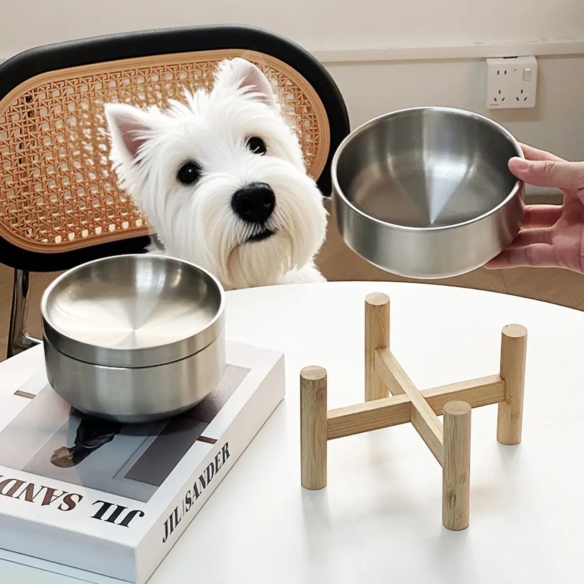 Stainless Steel Cat Bowl On A Raised