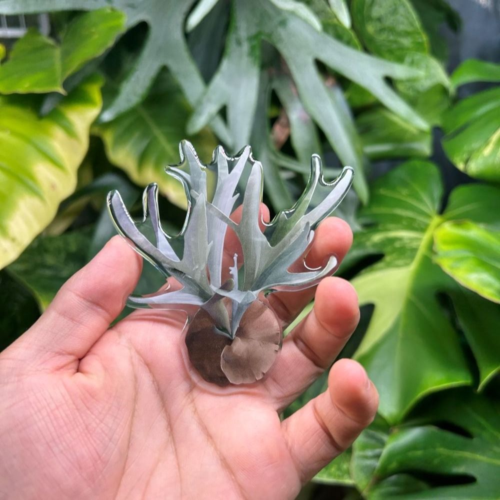 https://cf.cjdropshipping.com/quick/product/cda9896d-2722-4c02-9fa0-54cb5244cc4a.jpg