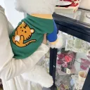 Little Tiger