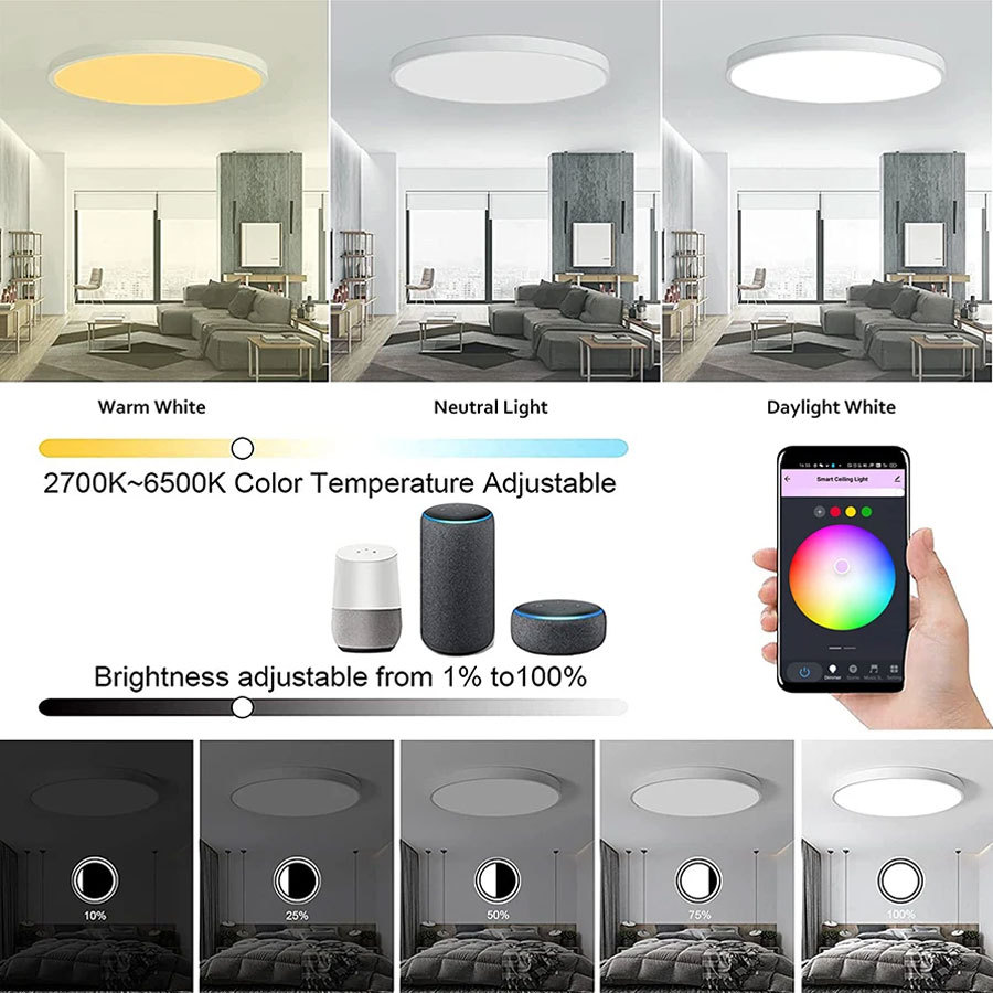 Graffiti WIFI Smart Ceiling Light Simple Colorful Bedroom Light