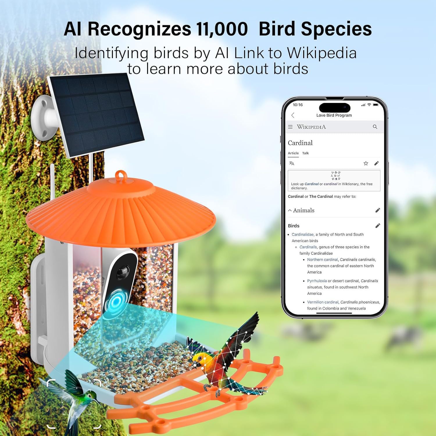 Outdoor WiFi Solar-Powered Camera Bird Feeder With App-Based Remote Monitoring