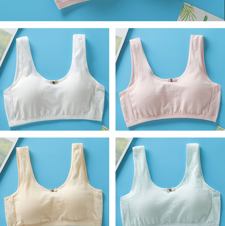 Title 1, Student Big Girl Developmental Little Vest Bra