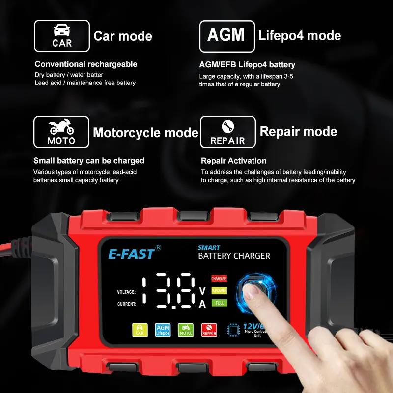 Lead Iron LiFePO4 Battery Charger 12V Automotive