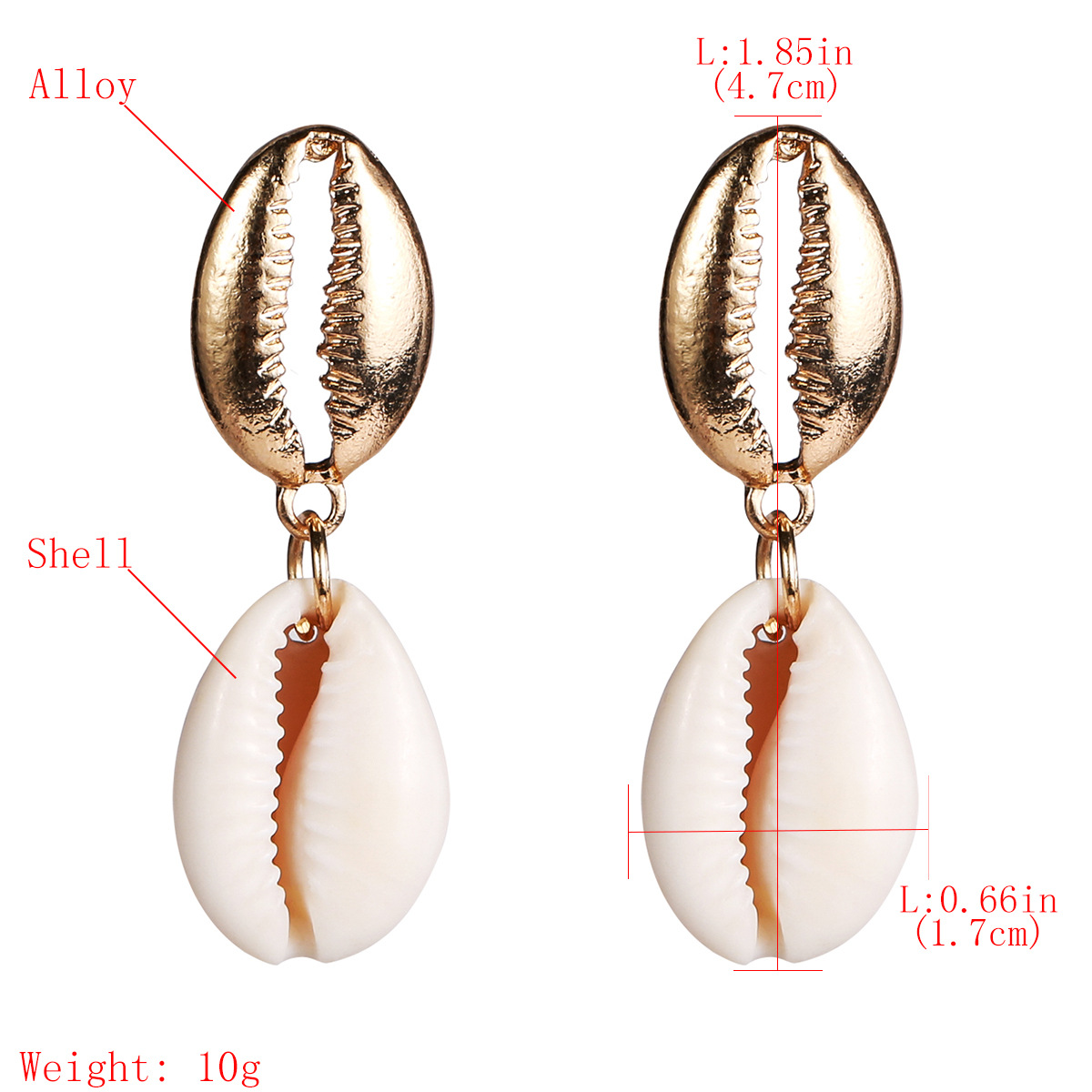 Title 11, Natural Conch Earrings