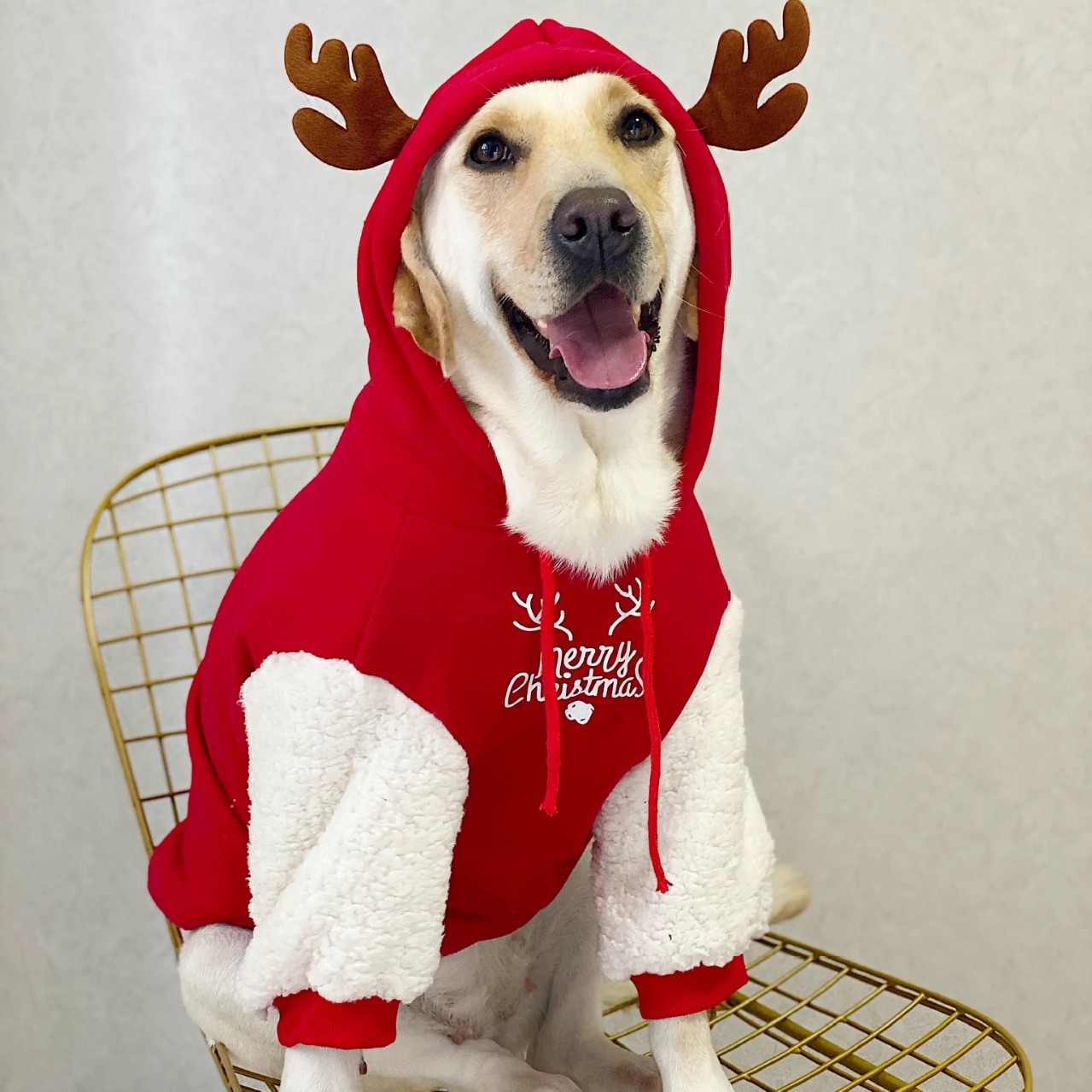 Pet Warm Fleece Sweatshirt