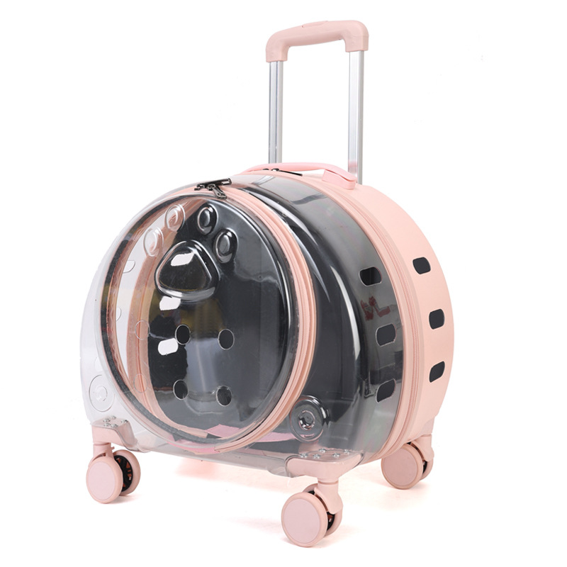 https://cf.cjdropshipping.com/quick/product/cf01ebf2-7078-4ec6-896f-c2bd7735407d.jpg