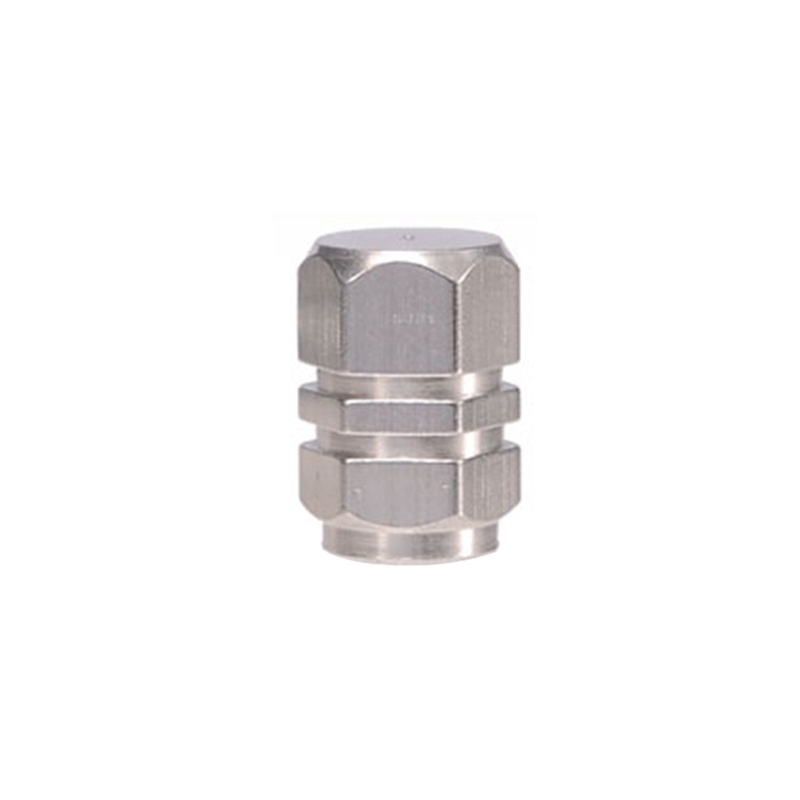 Car Tire Valve Metal Mouth Cap Electric Car Motorcycle Air Nozzle - Image 8