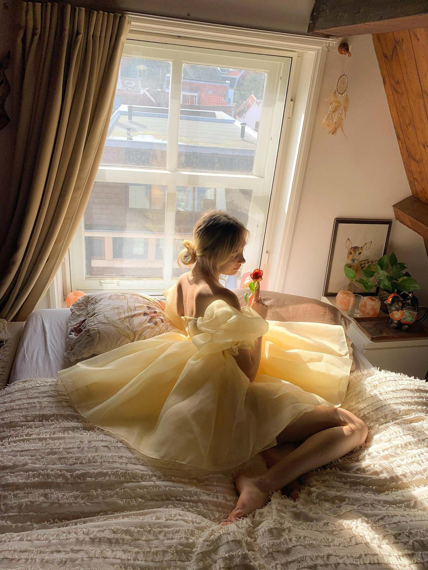 Bubble Sleeve Mesh Solid Color Princess Dress
