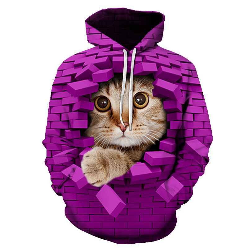 Couples Hoodie With 3D Digital Cat Print