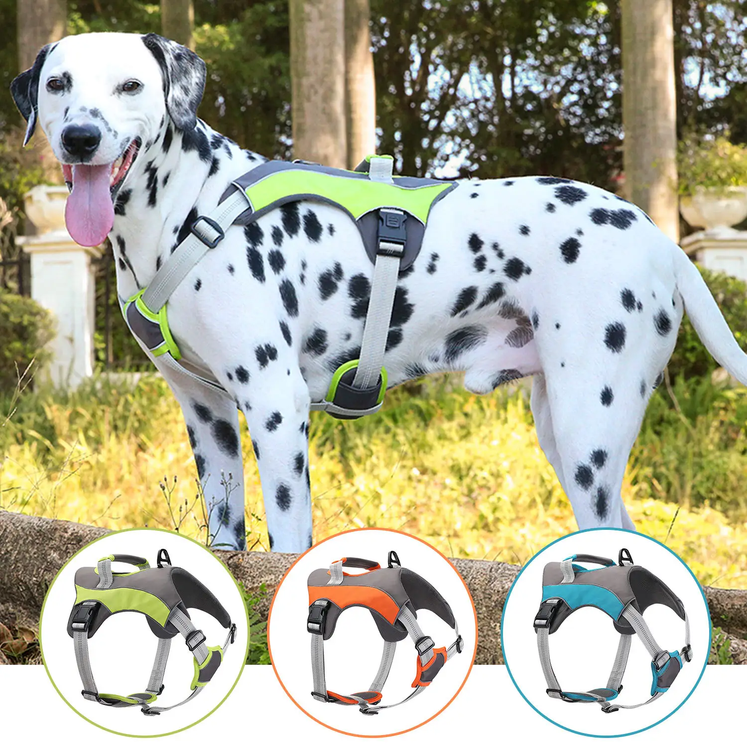 New Outdoor Large Dog Anti Breaking Loose