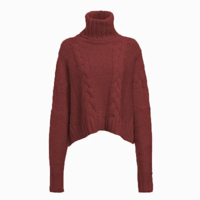 Winter New European And American Sweater Cable knit Turtleneck Short Sweater Wine Red - Shop at LoveMi