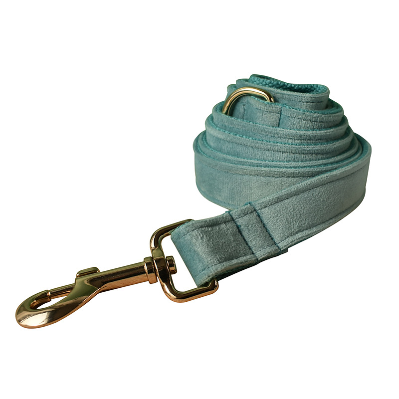 Dog Leash Gold Buckle