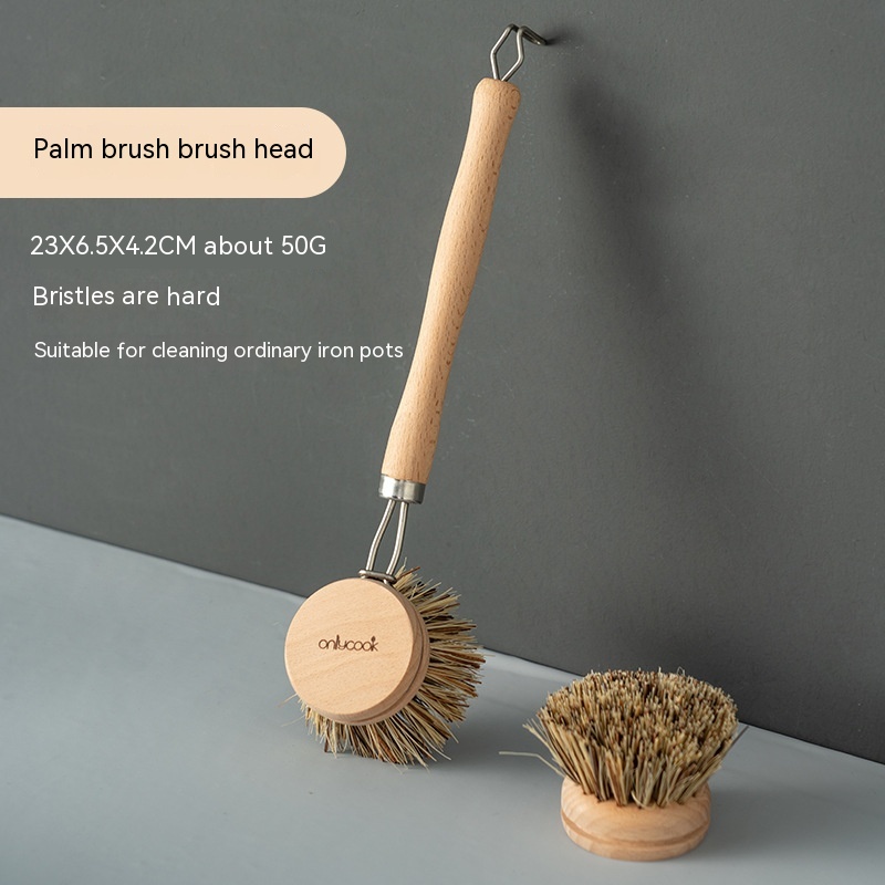 Palm Contains Bruch Head